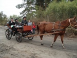 112612kapliczka-ksiadz-i-kon.jpg