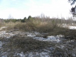 1319402010.03.07.-(5).jpg