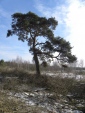 1320082010.03.07.-(3).jpg