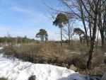 1320222010.03.07.-(2).jpg