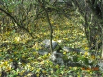1322172008.09.18--3.jpg